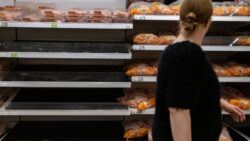 CO2 shortage: UK ‘has 10 days’ to fix crisis before chicken, pork and baked goods start to disappear in shops