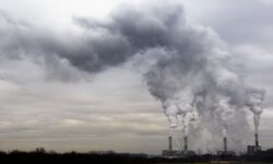 WHO cuts guideline limits on air pollution from fossil fuels