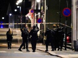 Norway bow and arrow attacks: Danish suspect charged as death toll reaches five