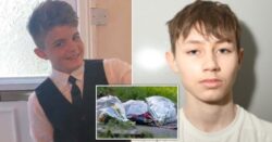 Boy, 15, who lured friend to woods and tried to behead him can now be named