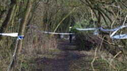 Police cordon off woodland after human remains discovered