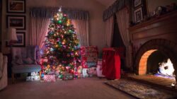 When should you put your Christmas tree up? Exact date according to tradition