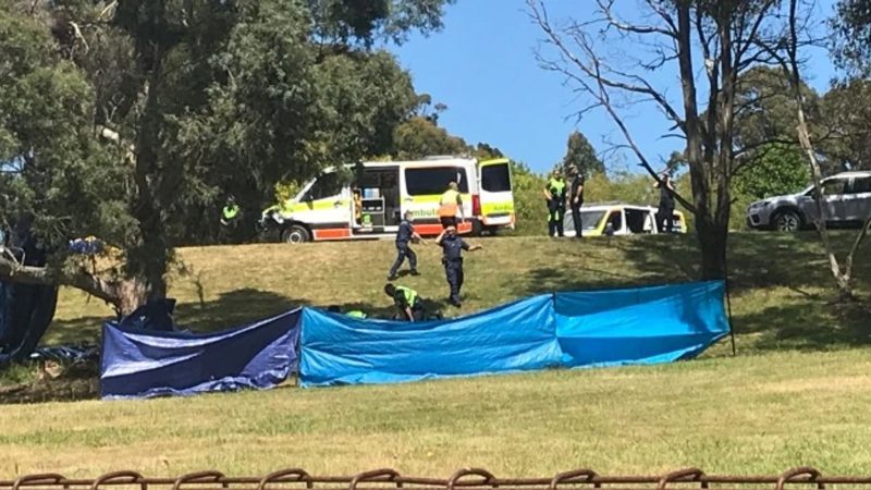 Four children dead and others injured in freak Australia bouncy castle accident