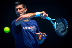 Novak Djokovic admits breaking isolation while COVID positive