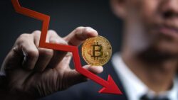 Bitcoin loses half its value as the crypto market plunges