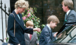 You can’t just buy protection from police, Princess Diana officer Ken Wharfe tells Harry