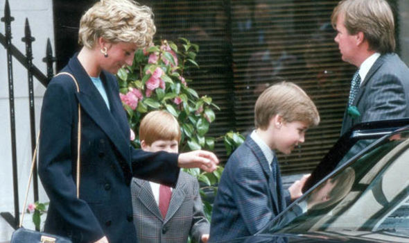 You can’t just buy protection from police, Diana officer tells Harry