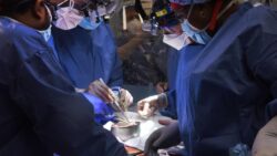 Pig heart implanted into human patient in 'watershed' US surgery