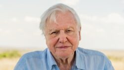 Sir David Attenborough injured after being stabbed by ‘dangerous’ cactus