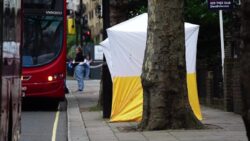 Maida Vale: Woman stabbed to death, knifeman run over and killed