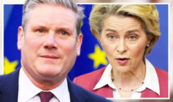 Starmer’s ‘backdoor plot’ to take Britain back into EU exposed – ‘It’s a mess!’