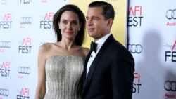 Brad Pitt is suing Angelina Jolie for selling her share of their winery to Russian oligarch