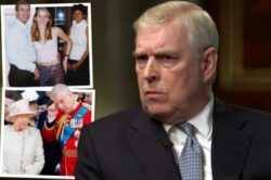 Prince Andrew slammed by campaigners !