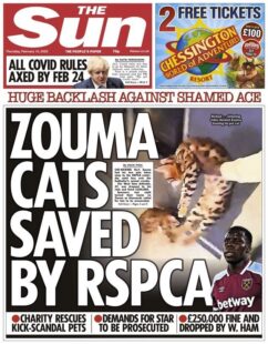 The Sun – Zouma cats saved by RSPCA