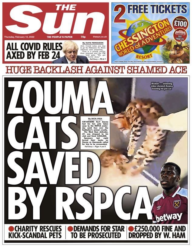 The Sun - Zouma cats saved by RSPCA