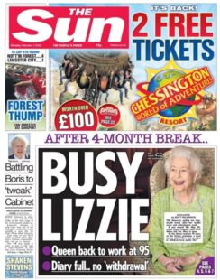 The Sun – Busy Lizzie