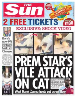 The Sun – Premier League star’s vile attack on cat