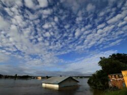 Australians flee floods as toll rises to 12, Sydney on alert