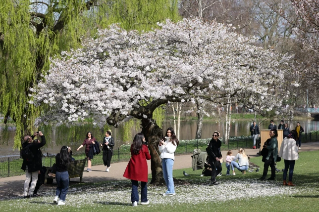 First blast of spring to bring 20°C heat and sunshine this week