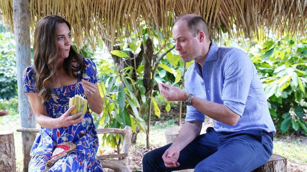 Prince William and Kate on royal tour: But should they stay at home?