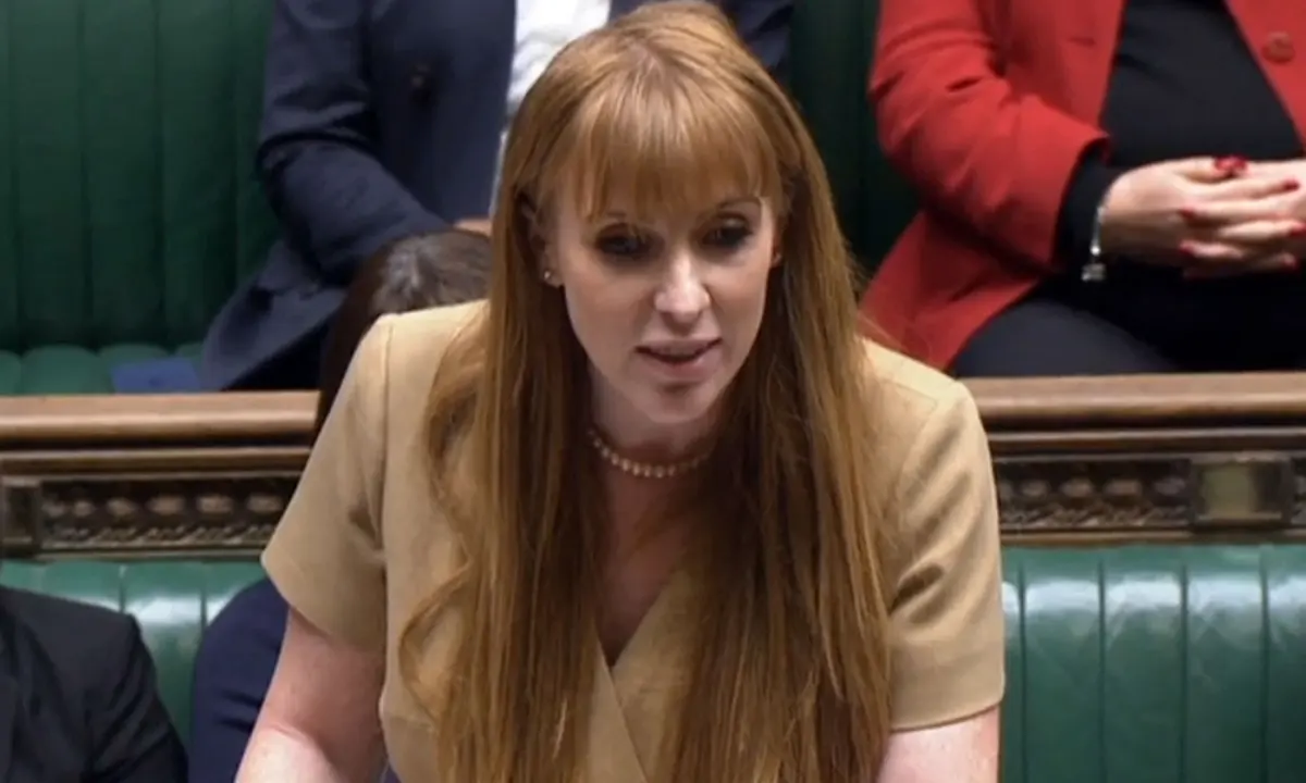 Angela Rayner: MPs hit back over claims of 'Basic Instinct' tactics to distract PM