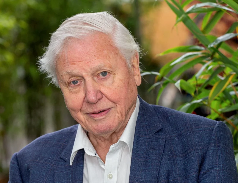 Sir David Attenborough named Champion of the Earth by the UN for life-long environmental work