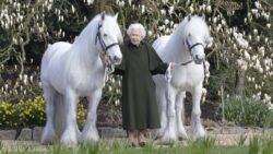 Queen releases new photograph ahead of celebrating 96th birthday