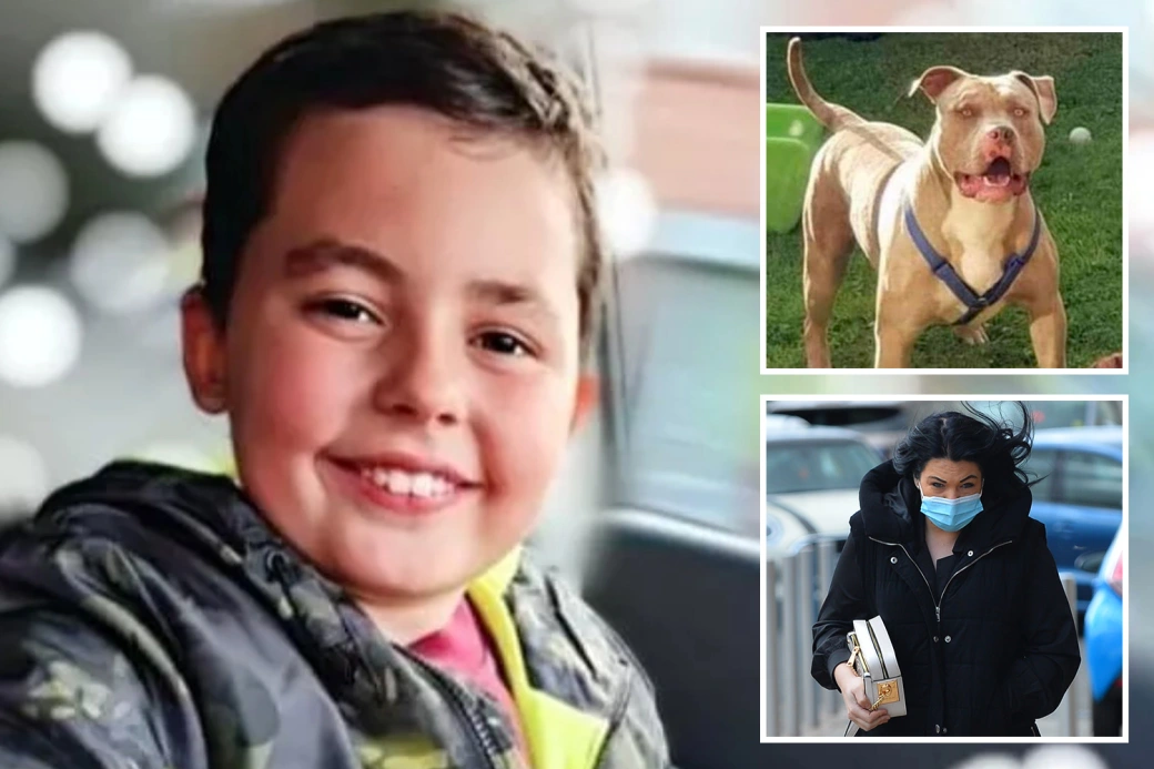 SAVAGED TO DEATH Boy, 10, suffered ‘unsurvivable’ injuries after being mauled to death by 8st ‘Beast’ dog