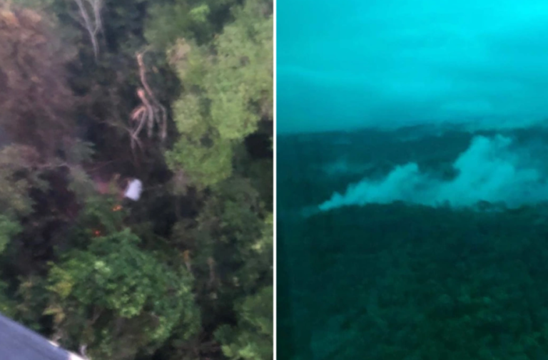 Cameroon plane disaster: Horror as plane carrying 11 passengers ‘crashes’