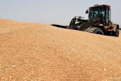 UN urges Ukraine grain release, warn of ‘mass hunger’ that could last for years