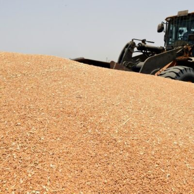 EU News 24/7 6 - WTX News Breaking News, fashion & Culture from around the World - Daily News Briefings -Finance, Business, Politics & Sports UN urges Ukraine grain release, warn of ‘mass hunger’ that could last for years