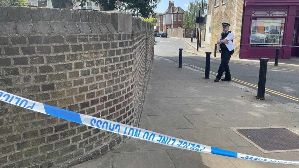 Ealing stabbing: Woman, 21, killed in knife attack named as police make second arrest