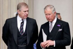 Prince Andrew could be stripped of Duke title under new law