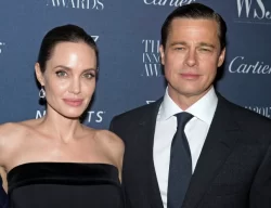 Brad Pitt claims ex-wife Angelina Jolie ‘sought to inflict harm’ by selling vineyard stake to Russian oligarch