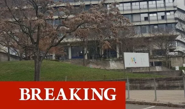 Primary school horror attack as knife-wielding man goes on daylight rampage in Germany