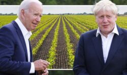 Biden to BLOCK UK’s masterplan to slash soaring costs as food hits ‘near-record’ level