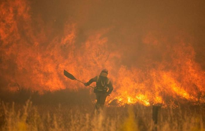Europe heatwave: Forest fires hit Spain as France prepares for record-high temperatures