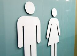 Single-sex toilets ‘to be mandatory’ in all new public buildings