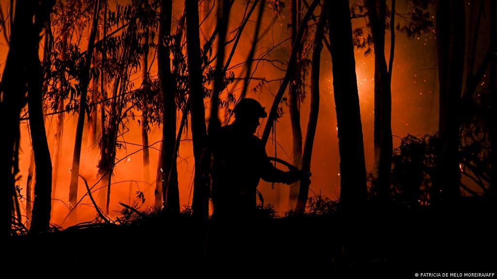 Portugal deploys 3,000 firefighters to battle heatwave blazes