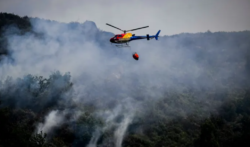 Forest fires rage across Europe as heatwave sends temperatures soaring