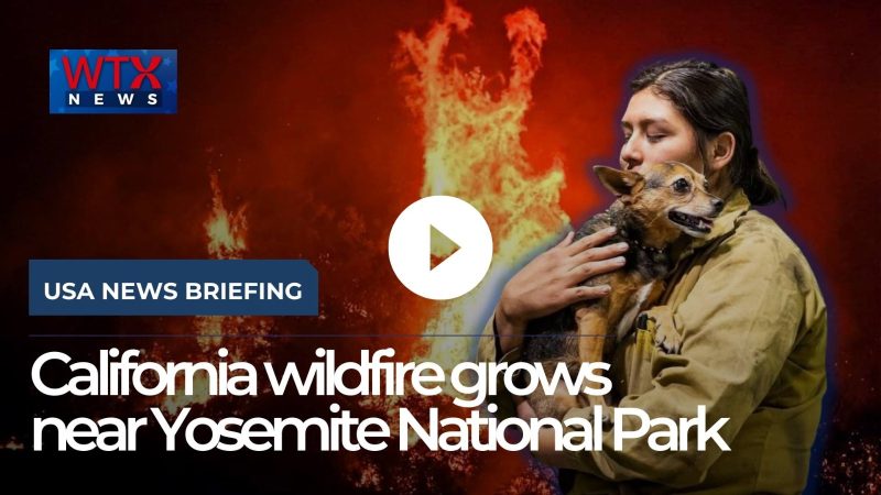 California wildfire grows near Yosemite National Park 