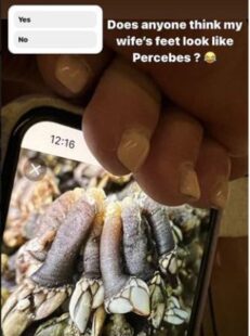 David Beckham posts ‘cruel’ pic of Victoria’s feet and compares them to barnacles