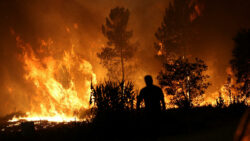 Western European heatwave fuels wildfires and endangers health