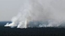 Ammunition explosions trigger raging fire at Berlin’s Grunewald forest