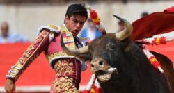 Bullfighting fans attend festival in France amid calls for ban