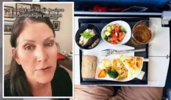Flight attendant says ‘never’ eat anything onboard before taking a crucial precaution