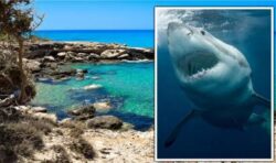 British tourists’ horror as ‘10ft SHARK’ chases holidaymakers out of water on Greek island
