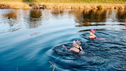 Cold water swimming health trend - the health benefits of cold water swimming - outdoor swimming - wild swimming -cold water immersion - plunge pool