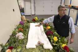 California legalises controversial ‘human composting’ burial method