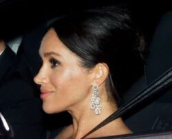 Harry ‘looked shocked’ when he realised aides knew where Meghan Markle earrings came from
